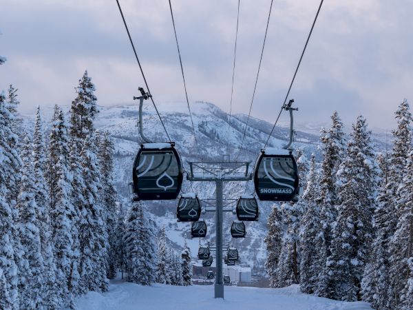 Snowy landscape with gondola ski lifts, pine trees, and mountains in the background. The lifts are suspended and heading up the slope.